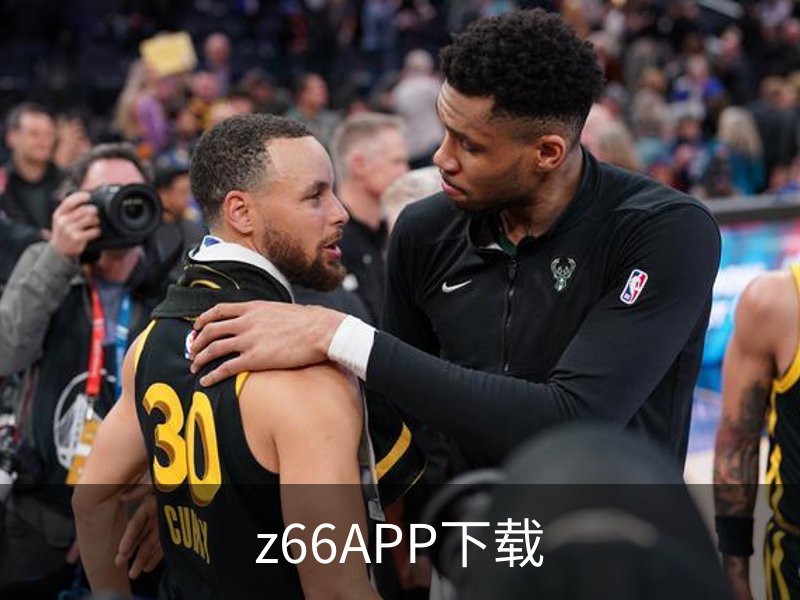z66APP下载简介